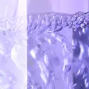 38613386df1e4a4c60f25b41acf6d510.webp