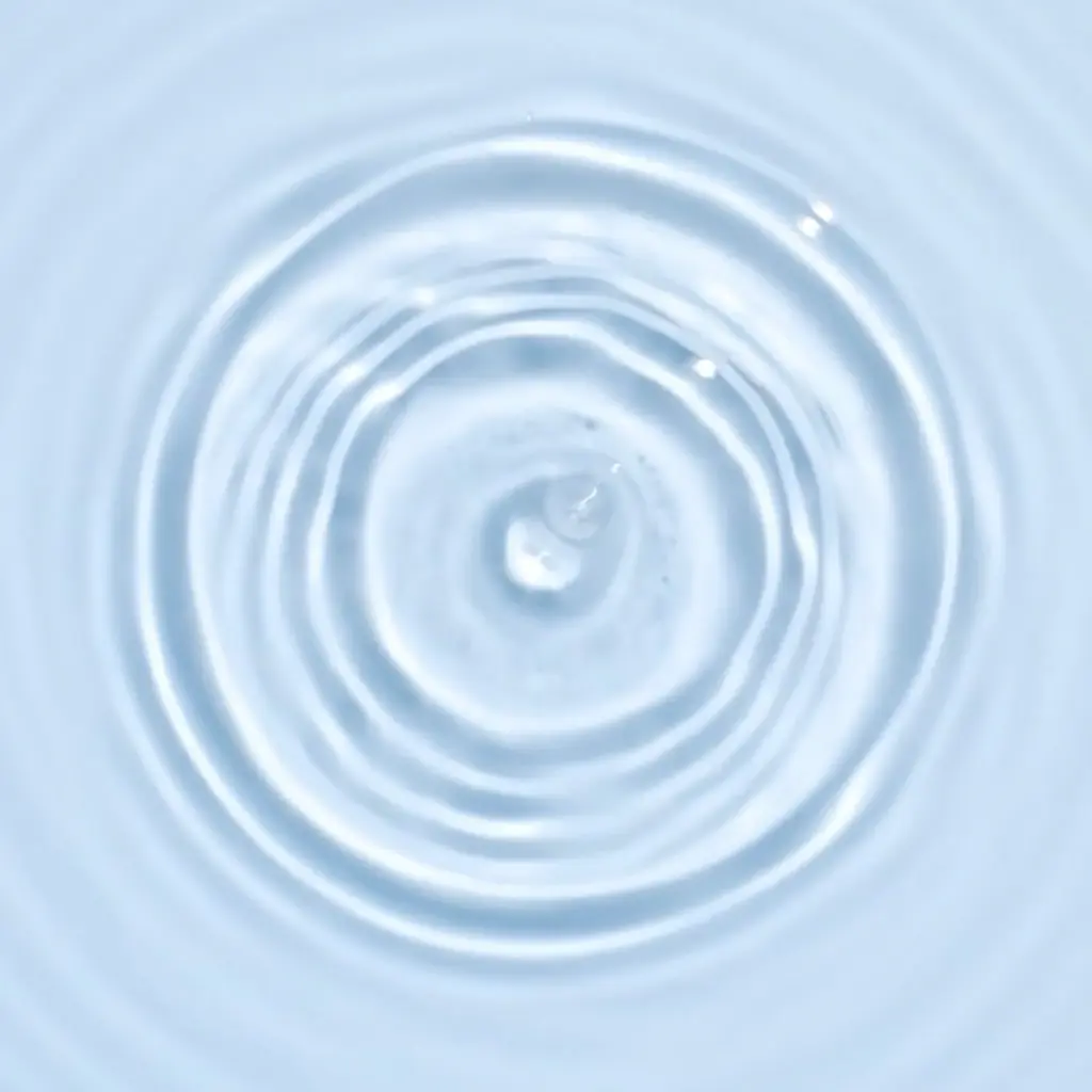 f75d9f13efc373a67b3053c7fbb83e2b.webp